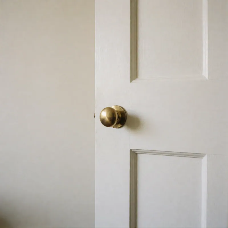 A round brass knob on a white panel door.